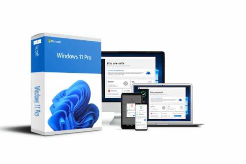 Buying a Windows 10 and 11 license